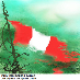 Peru no olvida