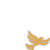 the Liberal Democrats