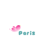Paris Twestival
