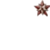 Call of Duty: World at War