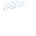♡tiara♡