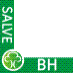 Salve BH