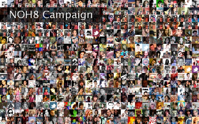 NOH8 Campaign  Twibute 500
