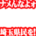 ZEGAPAIN (ナメんなよォ埼玉県民をーッ！)