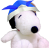 900dy