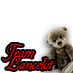 Team Lancelot