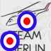TeamMerlin2010