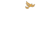 Liberal Democrats