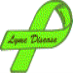Lyme Disease Awareness