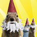 Banff_Squirrel