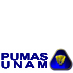PUMAS - UNAM
