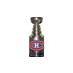 Stanley cup in 2010 = Habs