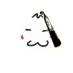 shikatomo
