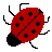 bugshaw