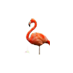 Brandon Flowers - Flamingo