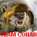 cbadger85