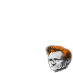 Team Conan