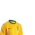 Eu torço pelo Brasil na Copa