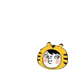 torakimi