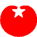 Socialistische Partij