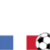 World Cup 2010: France