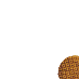 Stroopwafels