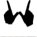 WTK_Gang4Life