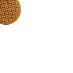 Stroopwafels
