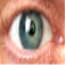eye