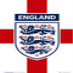 England for world cup 2010