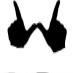 WTK_Gang4Life