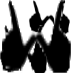 WTK_Gang4Life
