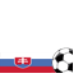 World Cup 2010: Slovakia