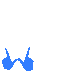 WTK Gang