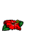siosai-flower(left)