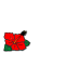 hanahana-flower(left)