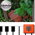 Saffron888