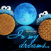 DreamySim1