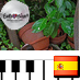 Saffron888