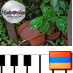 Saffron888