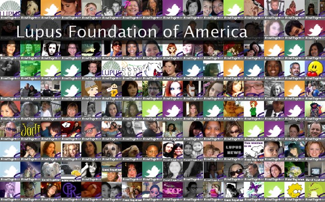 Lupus Foundation of America Twibute 250