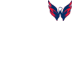 the Washington Capitals