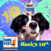 HankTheDoggy