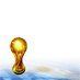 Bandera y Copa - Argentina