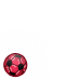 RODO - 2010 FIFA World Cup