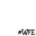 WFE