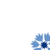 MND Scotland's Field of Hope