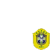 Brazil World Cup jersey
