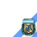 Argentina campeon 2010