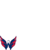 the Caps